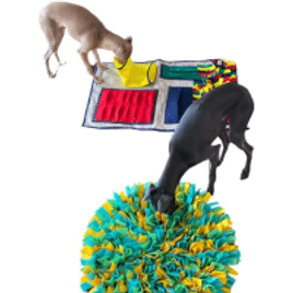 Kit 2 Tapetes de Enriquecimento Ambiental Brinquedo para Cachorro Gato Interativo de Usar Sentidos Farejar Fuçar Caçar Gasta