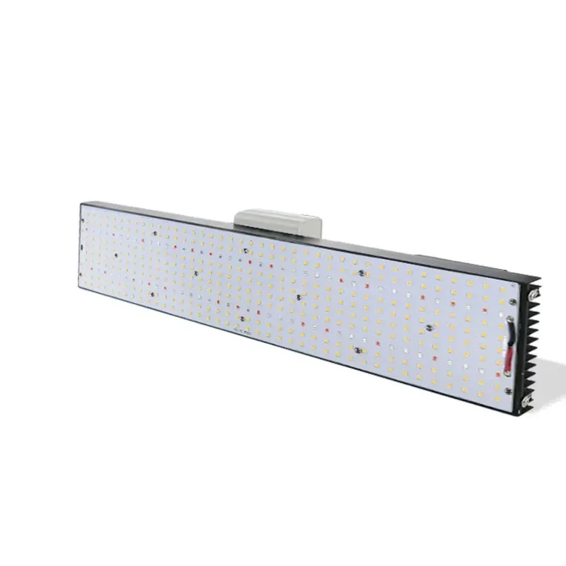 Sam-NG-Dimmable Luz LED para Usar em Estufas Lm301h 240w UV IR V3