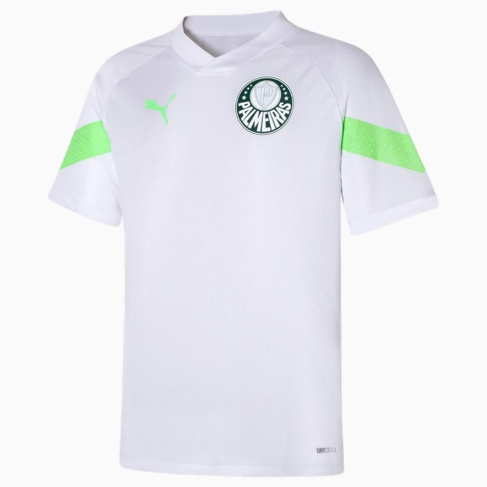 Camiseta de Treino Palmeiras Puma Torcedor - Masculino